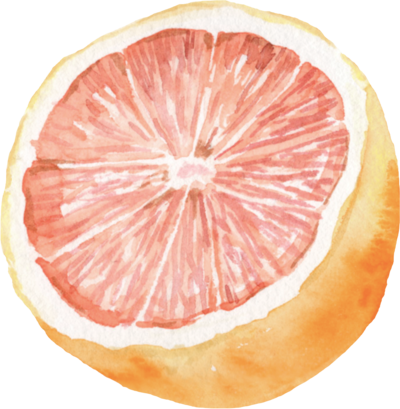 Citrus watercolor fruit