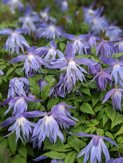 PXL_20230417_082153671.PORTRAIT