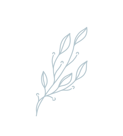 Small graphic of greenery for branding