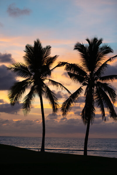 Punta Mita Portraits-80