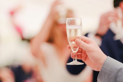 wedding speech guide