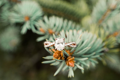 Purple and white orchids in bridal bouquets