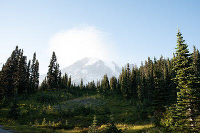 View at Paradise in Mount Rainier National Park