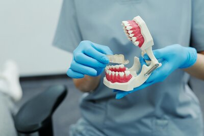 Prosthodontist showing a model of teeth to demonstrate treatment options at Peak Prosthodontics in Lethbridge, Alberta.