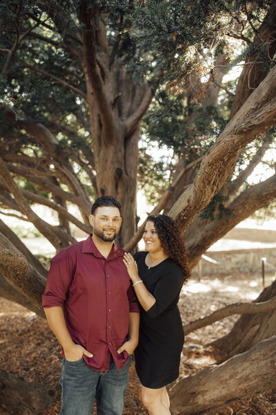 New Jersey Botanical Garden | Couple in sunlight beneath a tree during pre-wedding photo | Ringwood, New Jersey