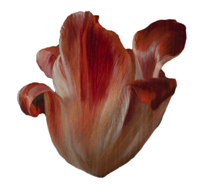 Flower2