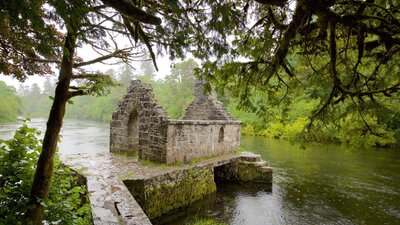 145411-Cong-Abbey