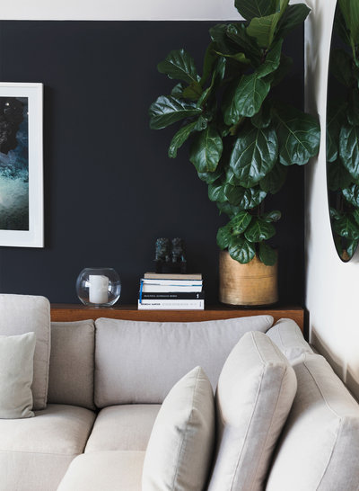 Amanda Wyeth Design| Living Room Vignette|Fiddle Leaf Fig| Sofa Back Table| Jardan Sky Modular Sofa