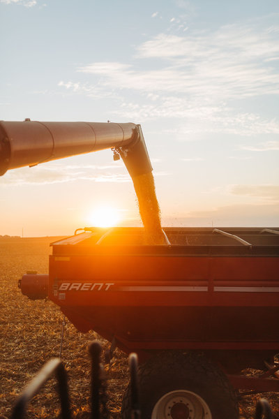 RippyFarms2019-157