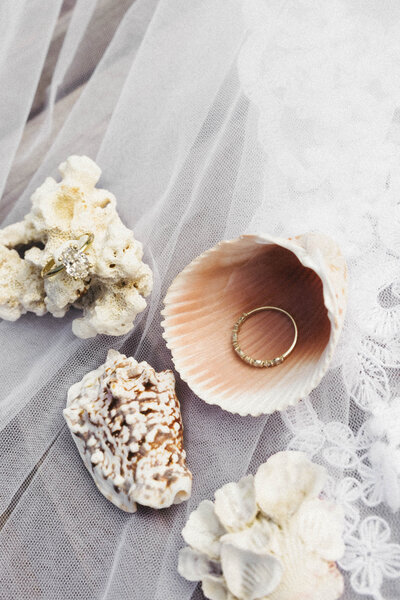 shell wedding flatlay
