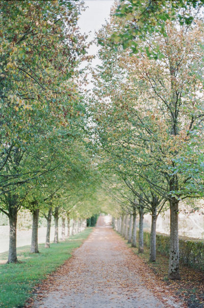 Molly-Carr-Photography-Paris-Film-Photographer-France-Wedding-Photographer-Europe-Destination-Wedding-Paris-1