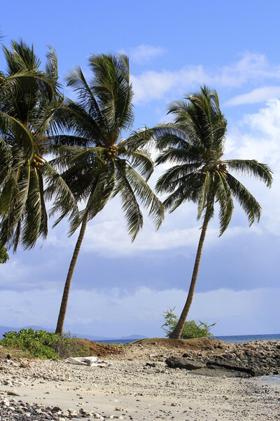 Caroline Morey Wedding Photographer Maui Destination Wedding Olowalu Plantation Wedding110413_0393456 x 5184