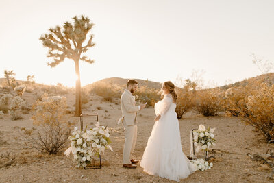 bride and groom eloping at canyonlands national park in the desert