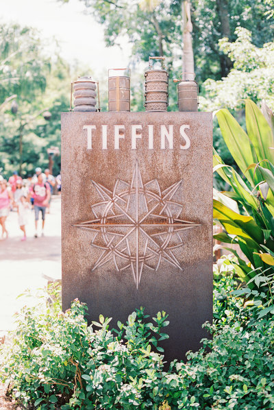 Disney-2019-Film-Photographer-Chantell-Rae-077