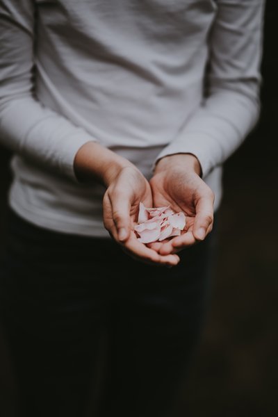 annie-spratt-706830-unsplash