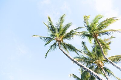 sebastien-gabriel-rMqbe4WLqXk-unsplash