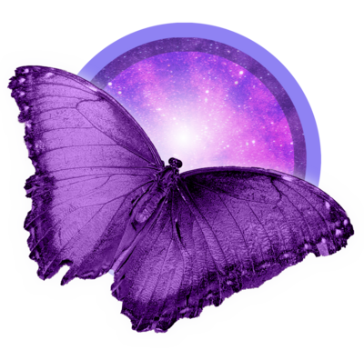 Glowing purple butterfly or moth Representing Animal Communication Course

