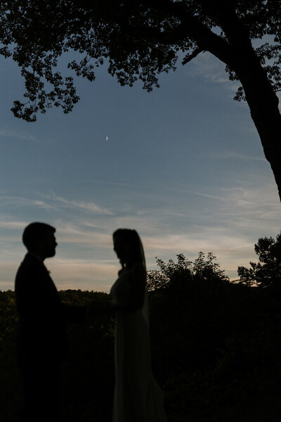 romantic Silhouette of bride and groom under a tree 