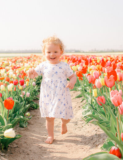 A little girl runs through the tulip fields in Holland. 