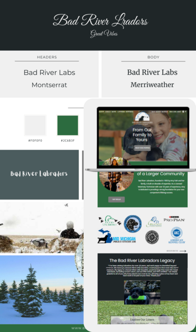 BAD RIVER LABS