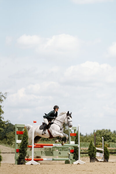 a grey horse with an english rider jumping a red and white jump at an Ontario Trillium show captured by a equine private client photographer based in Ontario