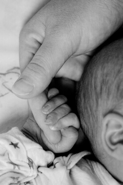 newborn photography spokane wa
