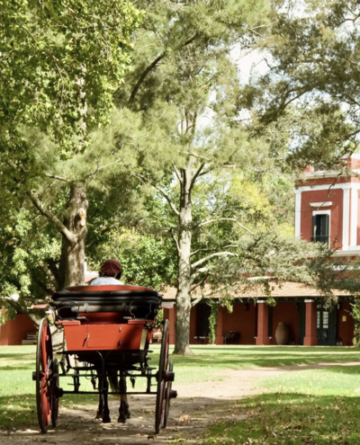 wo weeks food wine trip itinerary in argentina and chile