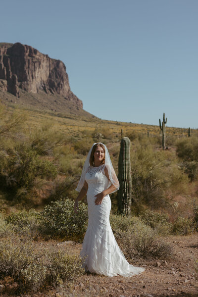 Lost Dutchman Park Superstition Mountains By Brisa Breeze Photo, Phoenix Wedding Elopement Photography Anchorage-3