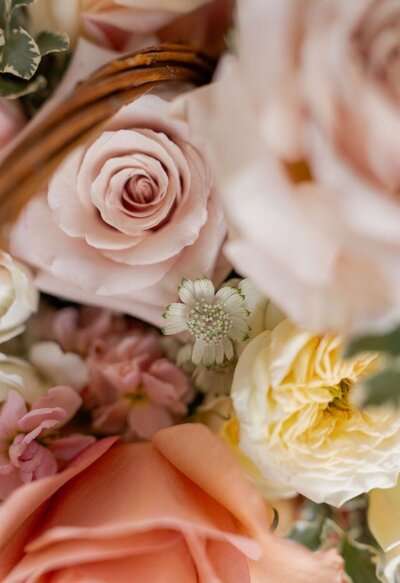 Luxury basket of blooms terracotta 5