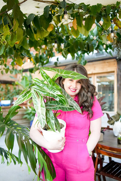 High-Light-Alocasia-longiloba