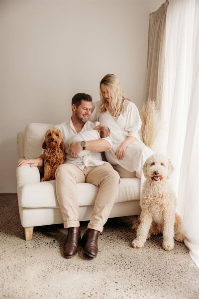 A mother and father holding their newborn baby with their pet dogs in their family newborn photoshoot in michelle kellys newborn photography studio