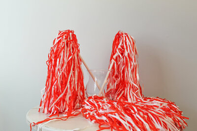 TE Inventory-Clemson Orange and White Pom Poms 025