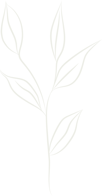 Whimsical graphic of white flowers