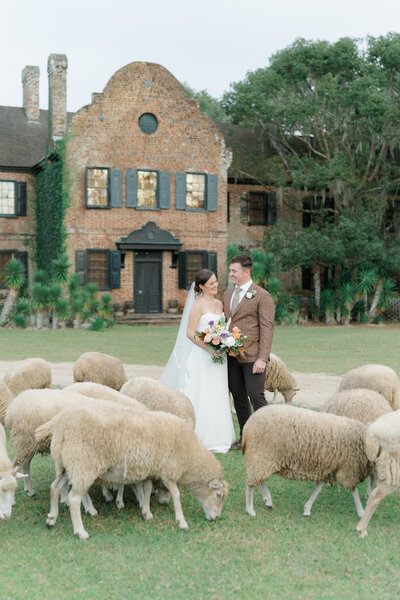 Middleton Place fall wedding bride and groom with sheep.