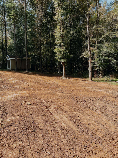 tire-tracks-on-dirt-beside-treeline-and-shed