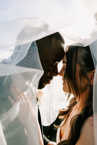 Bride and groom under the vale posing for the Marbella wedding photographer 
