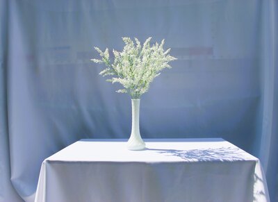 White Common Heather DELUXE BUSH (2)