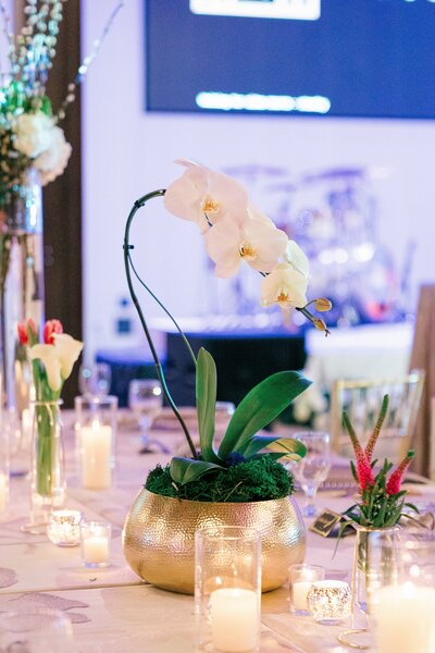 JayNishaSneakPeeksDay2-35