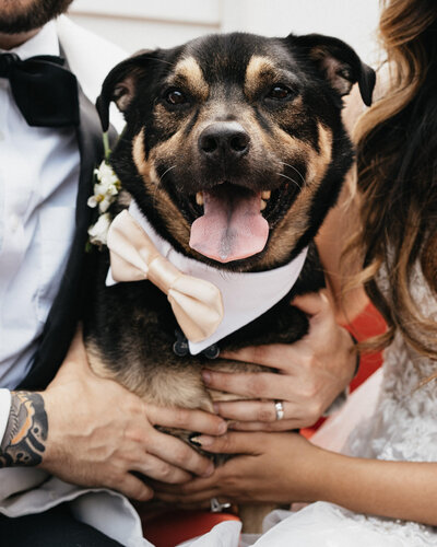 RIP Boomer Boo Boo