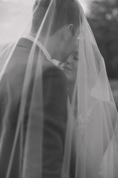 Virginia Wedding Portraits Under Veil