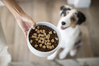 commercial dog food