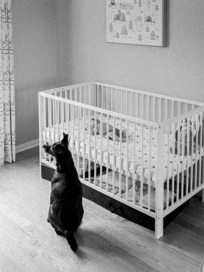KatieCranePhotography-BabyLuke-LifestyleNewbornSession-4113