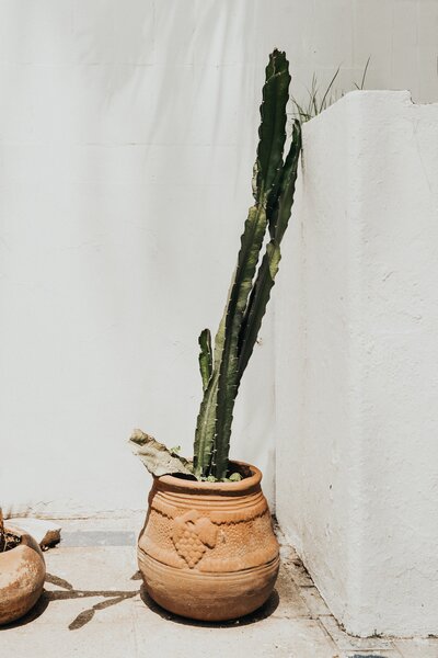 bruno-emmanuelle-7bEGvd7LCUE-unsplash