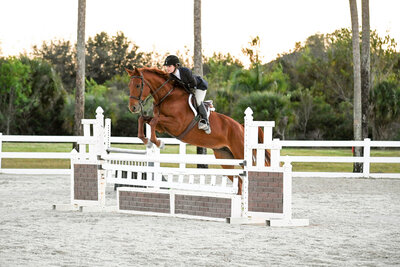 girl jumper her hunter horse over a white jump