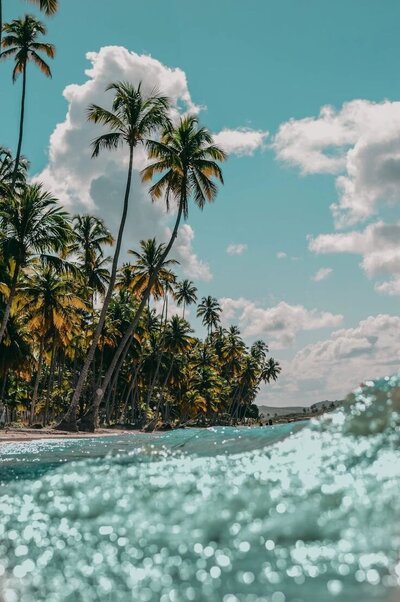 ocean waves and palm trees on siargao island