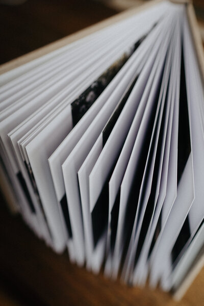 a stunning melbourne wedding album