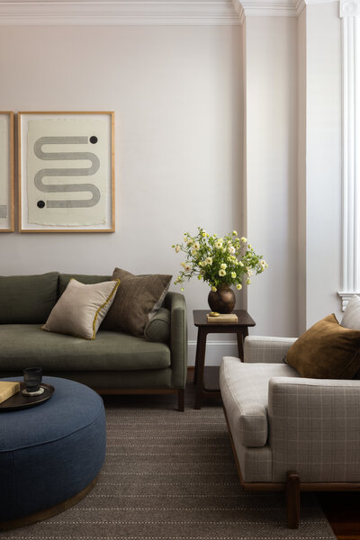 Cozy DC Living Room