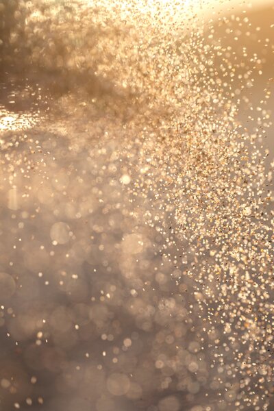 Bubble Texture | Lucia Isabel