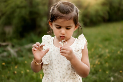 Toddler playing with flowers in a field in Potomac, MD captured by Mila K Photography