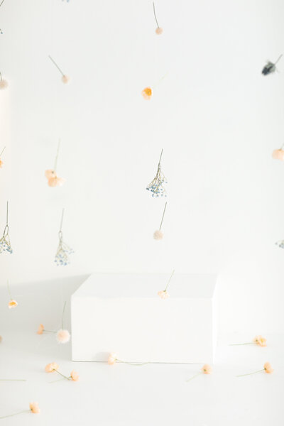 2025.03.17 Spring Install Jax Mini Sessions Studio-15697